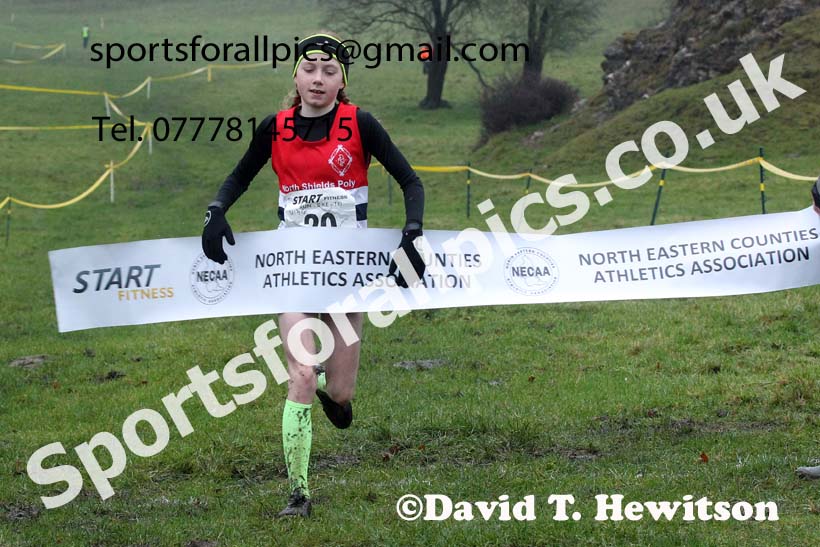Girls under-13s, NECAA Junior Cross Country Relays, Thornley Farm, Peterlee, Saturday, December 12th. Photo: David T. Hewitson/Sports for All Pics